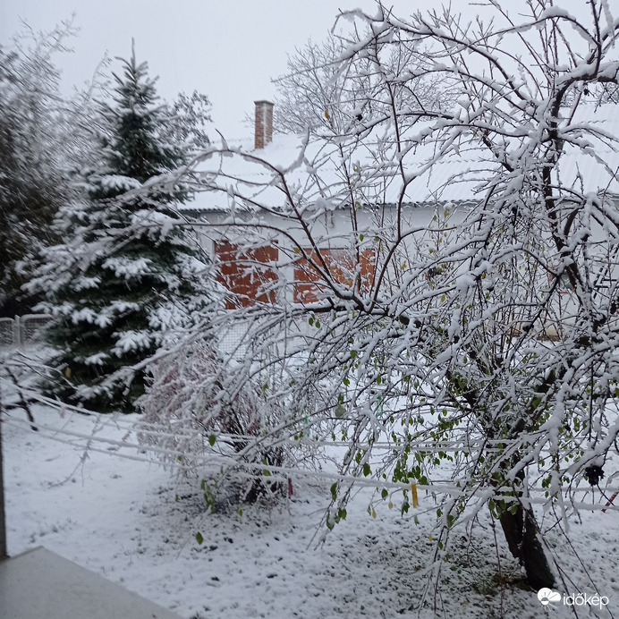 Észlelési fényképek