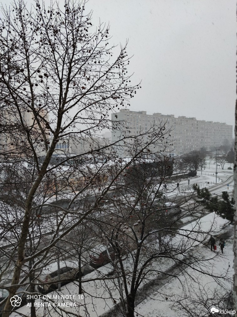 Észlelési fényképek