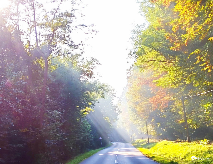 Őszi napsugár 
