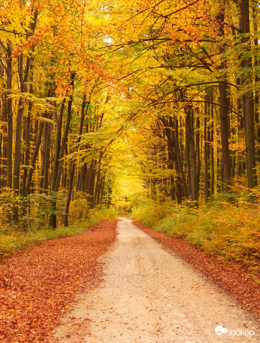Ősz 