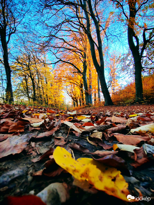 Őszi hangulat 