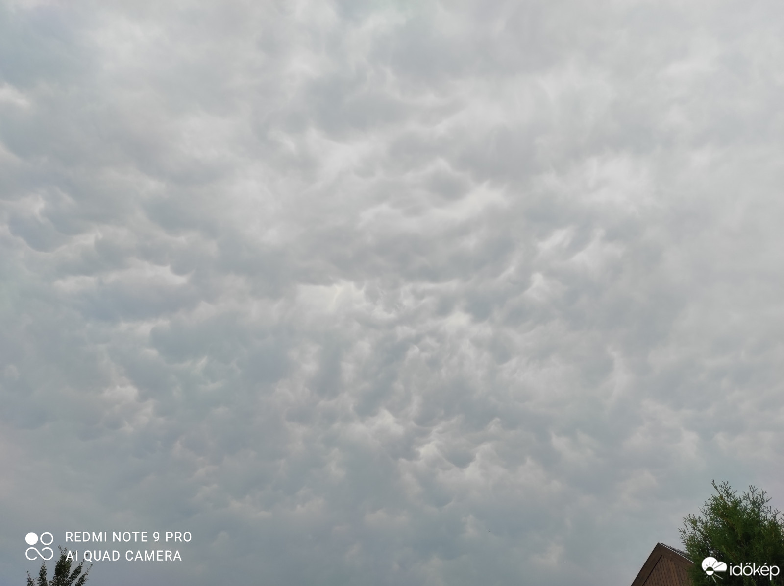 Észlelési fényképek