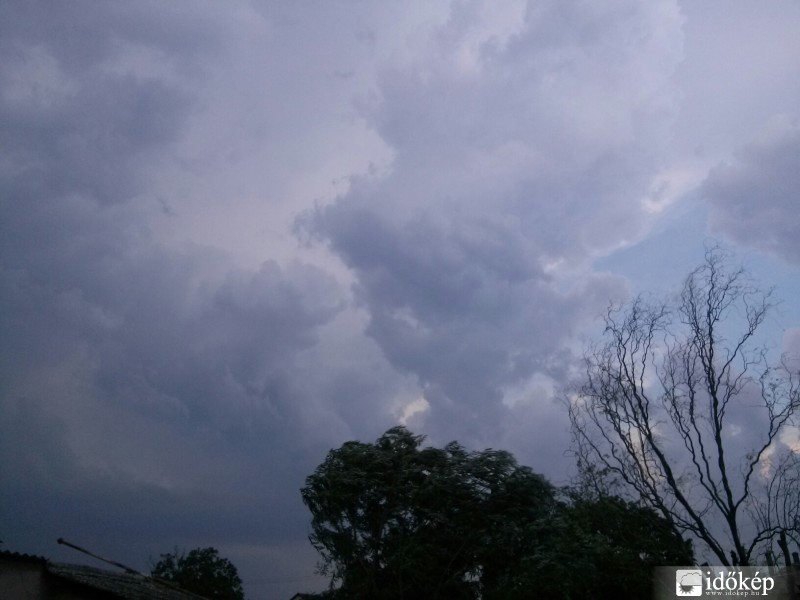 Észlelési fényképek