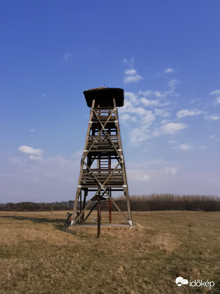 Morotva-tavak kilátó