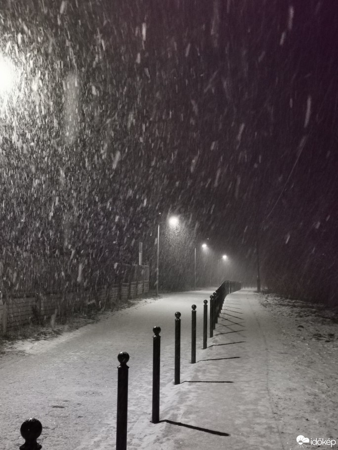 Észlelési fényképek