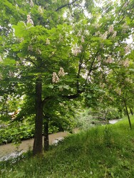 Eger
