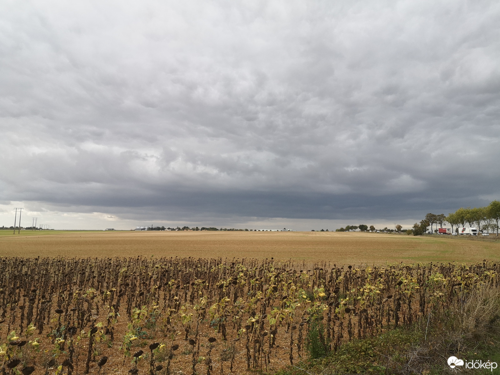 Észlelési fényképek