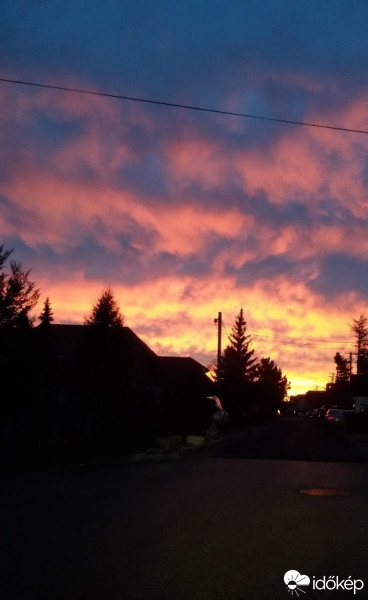 Észlelési fényképek