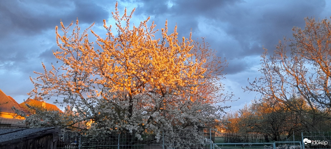 Észlelési fényképek