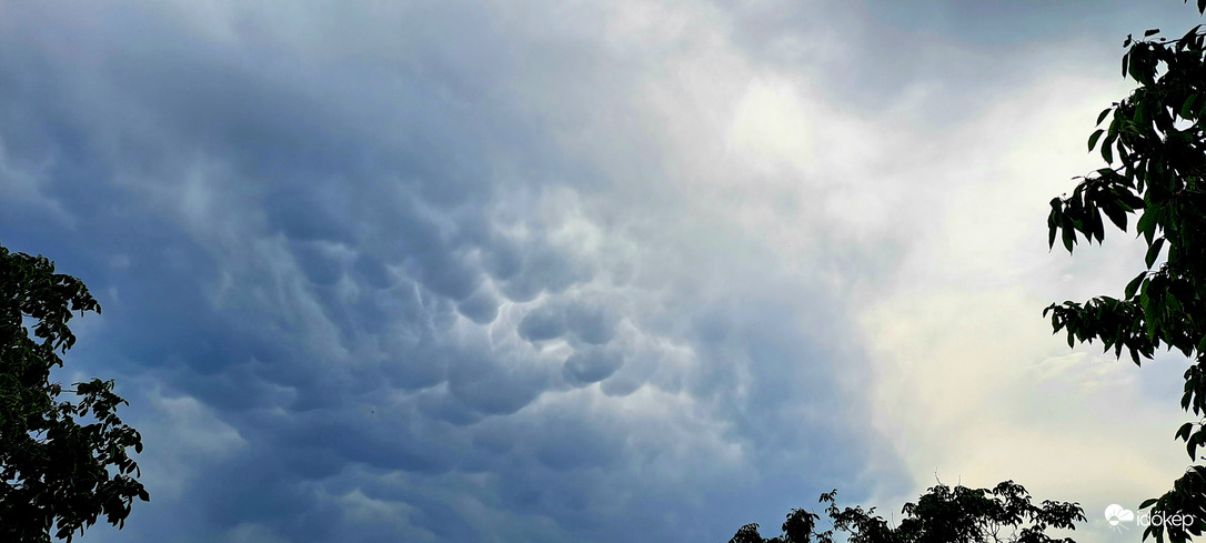 Mammatus