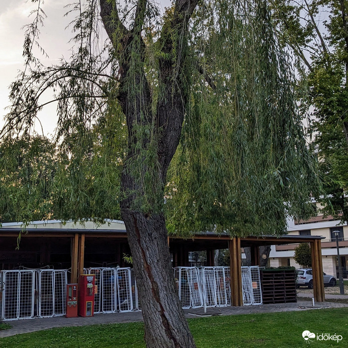 Villám csapata fűz