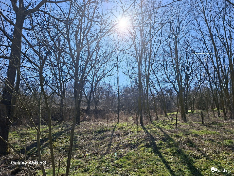 Észlelési fényképek