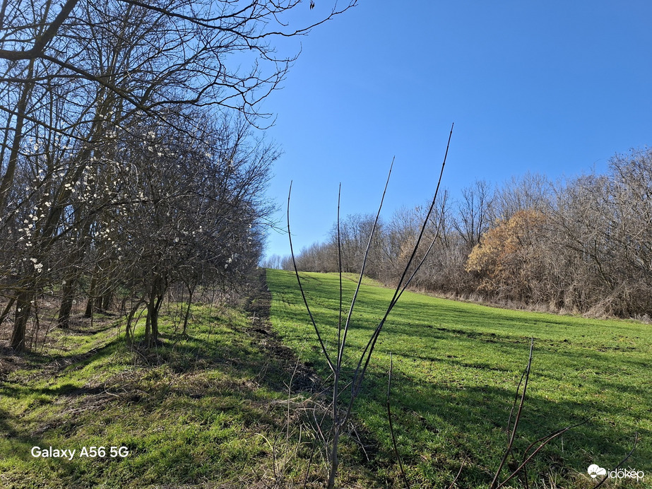 Észlelési fényképek