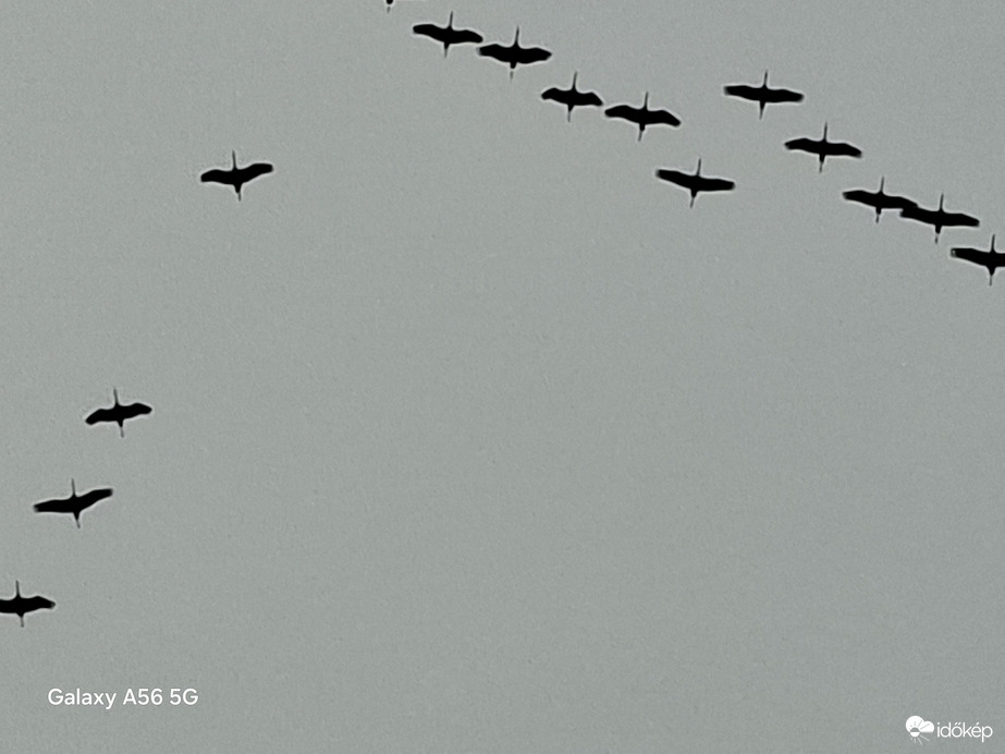 Észlelési fényképek