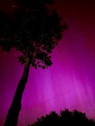 Aurora Borealis Kistelek✨