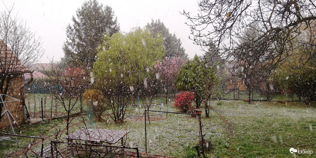 Észlelési fényképek