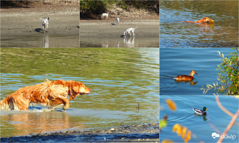 Október 25. fürdésre csábító volt a Duna vize