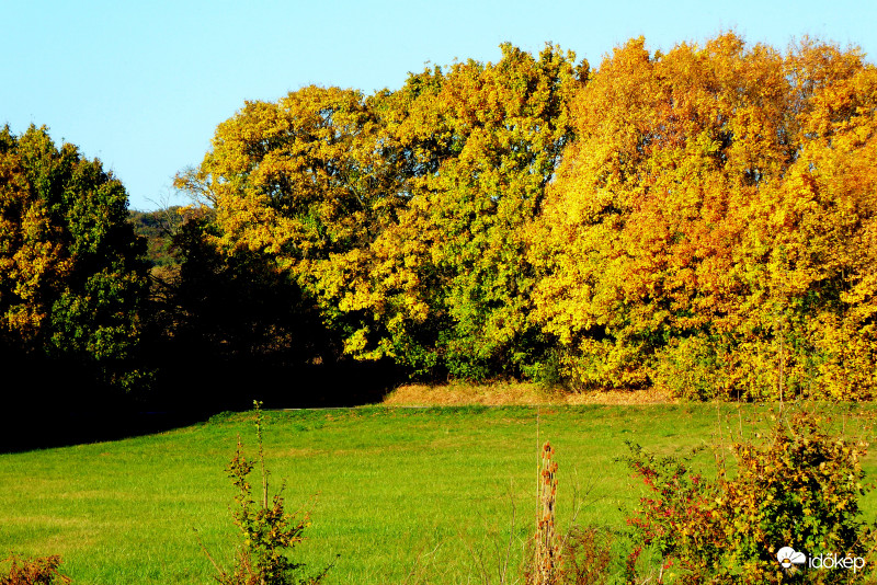 Rét a falunk szélén