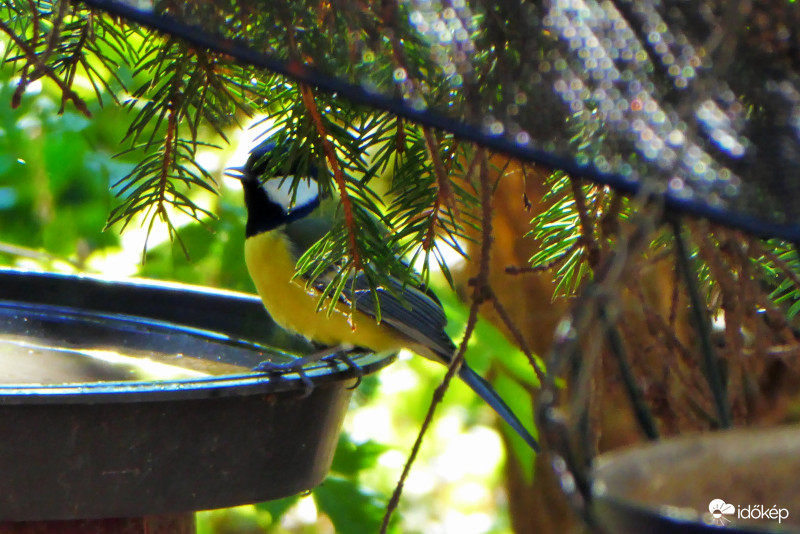 Inni jöttem, de lehet meg is fürdök