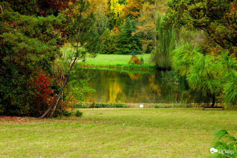 Színek vízen, réten, erdőben