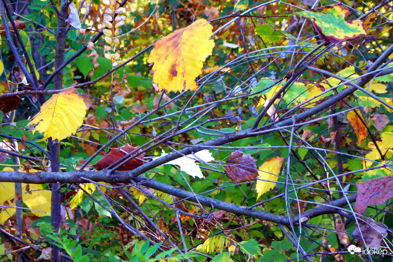 Egyre kevesebben fenn, egyre többen lenn