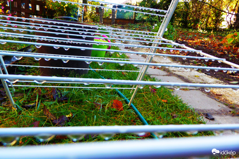 Tibor cseppjeinek rokonai a ruha szárítón