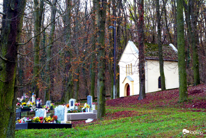 Erdő mélyén csend birodalma