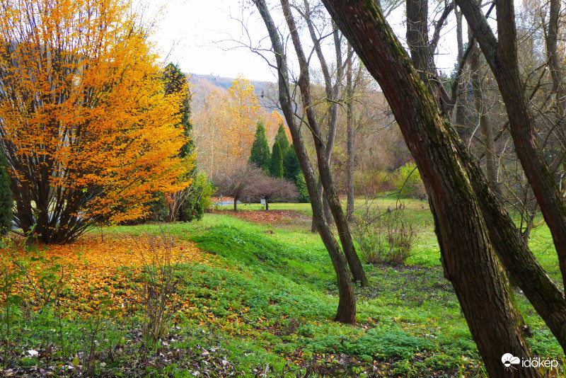 Napsütésben milyen szép lehet!