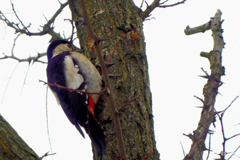 Hallga, csitt, mozog itt valami!