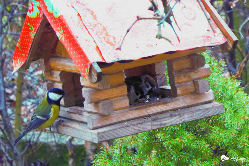 Ki az a két lator odabenn?