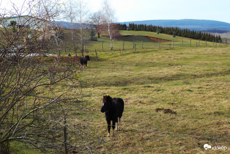Táj Szár falú végén