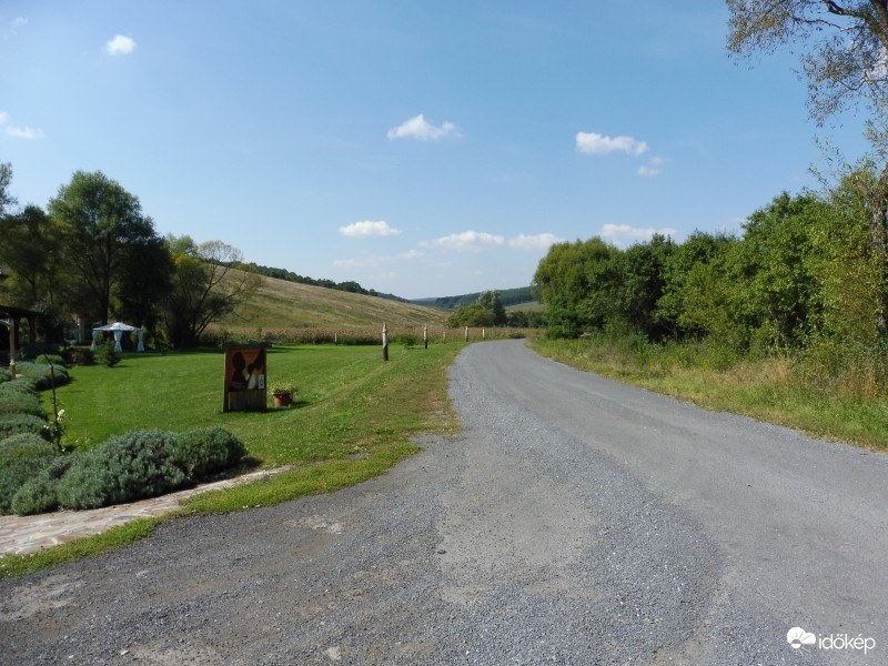 felhőcskék alatt futó napos út