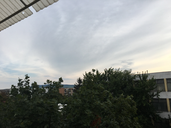 Észlelési fényképek