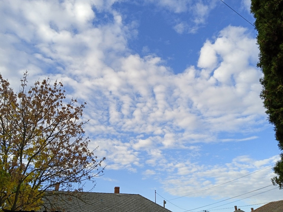 Észlelési fényképek