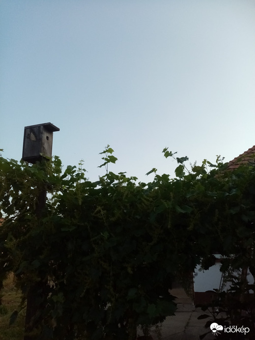 Érsekcsanád