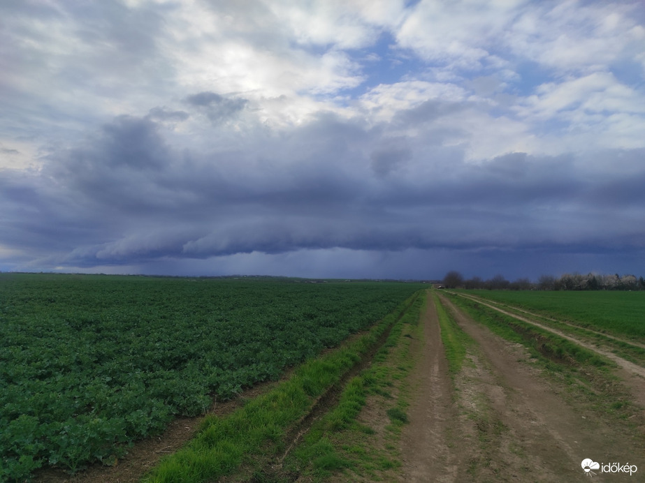 Észlelési fényképek