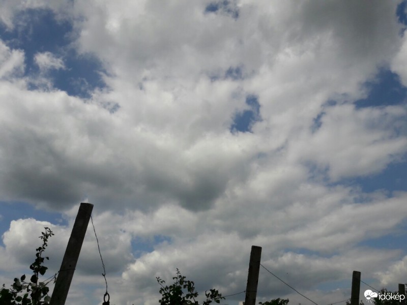 Észlelési fényképek