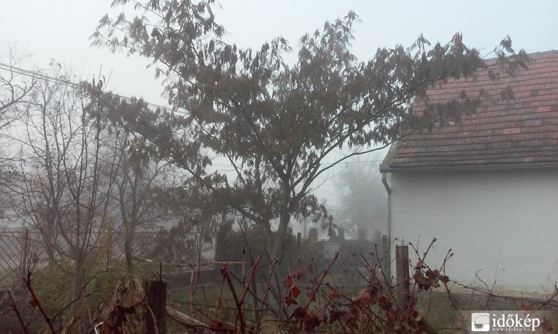 Homorúd