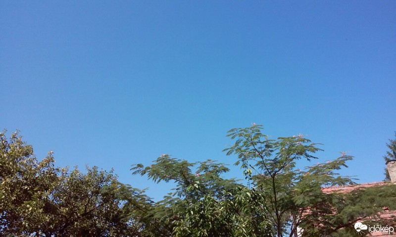 Homorúd