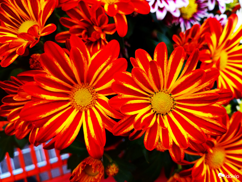 Szerintem szép... :)