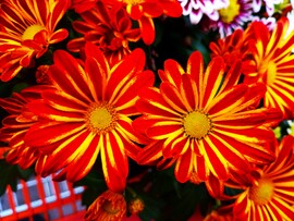 Szerintem szép... :)