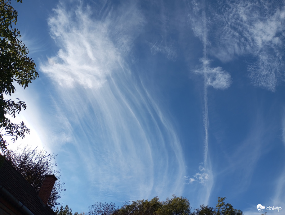 "Óriás medúza..."