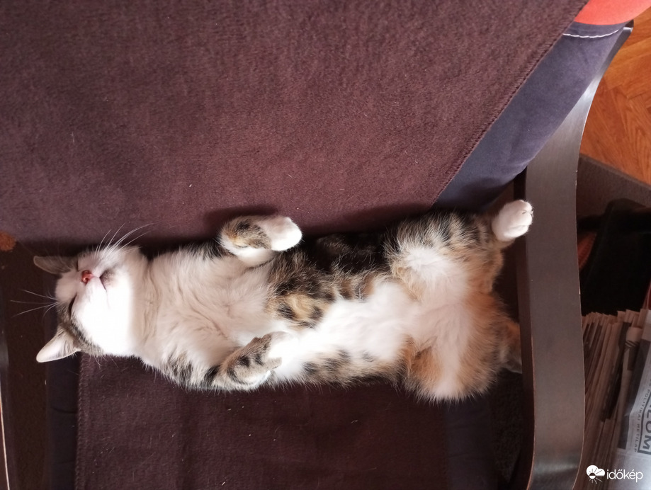 Azért csak jobb ilyen időben a meleg szobában...