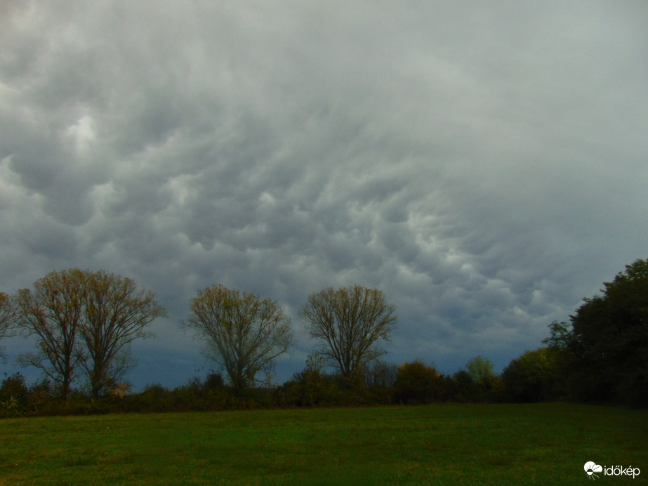 Vihar utáni mammák II.