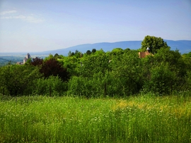 Vác