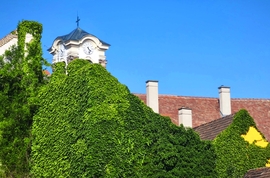 Vác