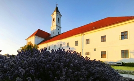 Vác