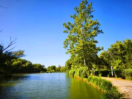 Vác