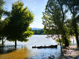 Vác