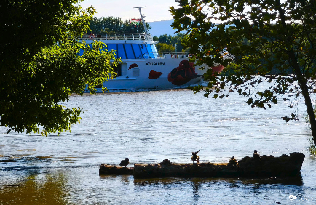 Vác